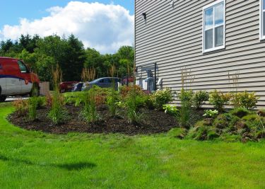 Flower Bed