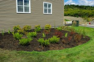 Flowerbed